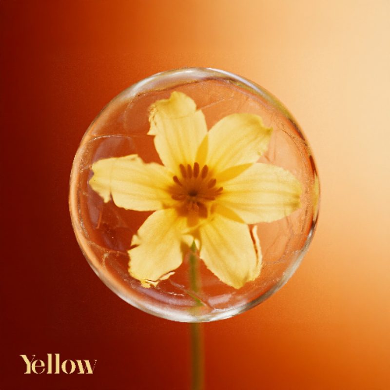 Zave fait fondre l’hiver avec une version intimiste de “Yellow”