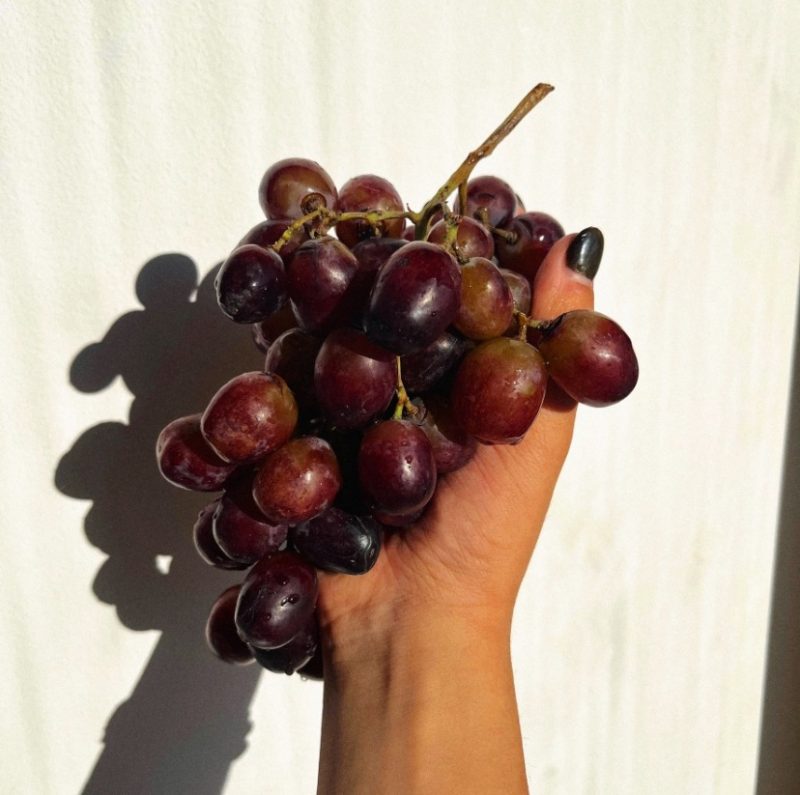 « Stupid » — Peruvian Bear Club, l’évidence d’une fragilité assumée