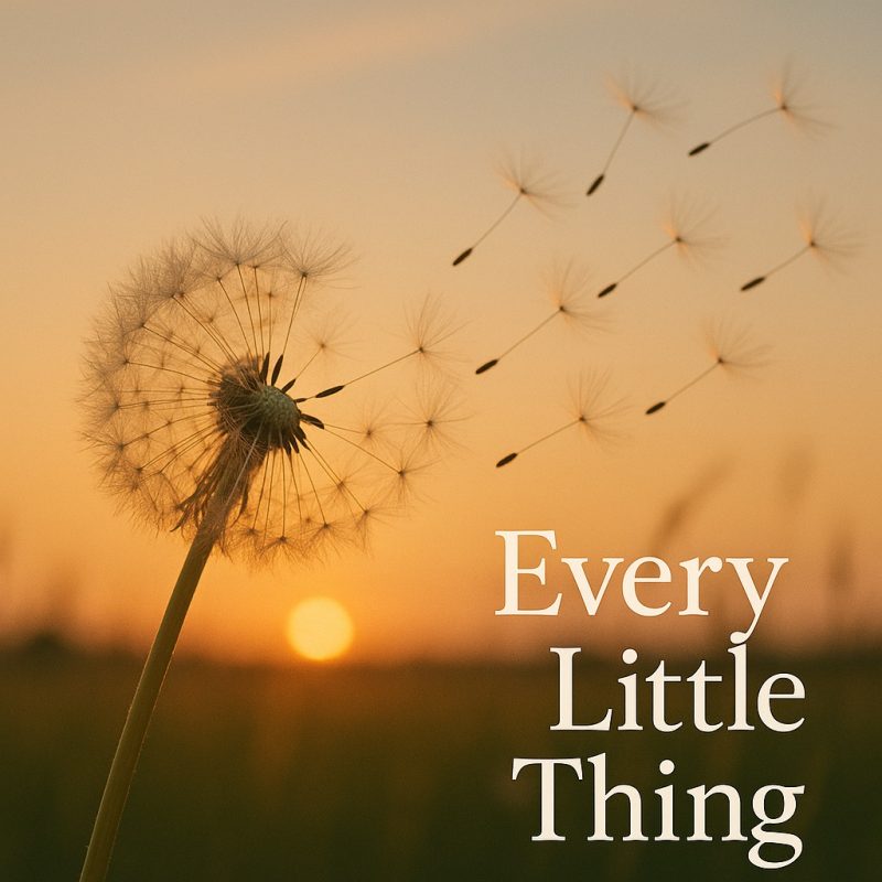 Every Little Thing », Bear Jr transforme l’intime en élans rock