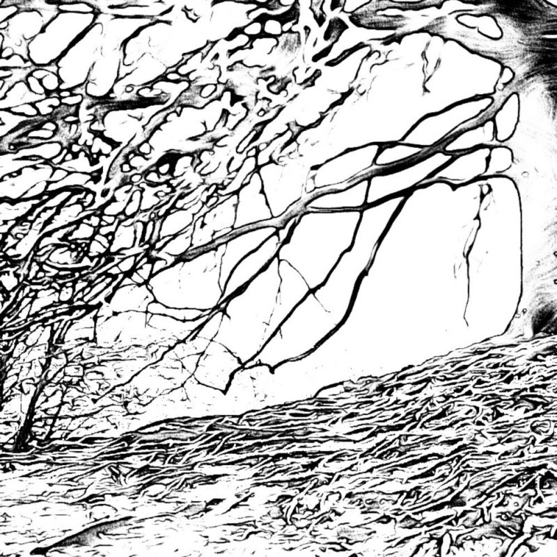 Drew Neirin transforme la poisse en blues lumineux avec I’m Fresh Outa Bad Luck