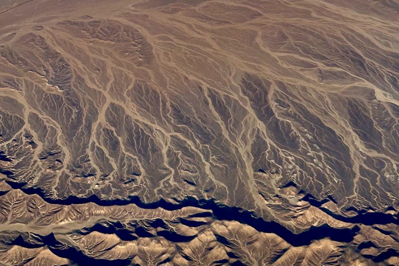 Tuxedo Dave, l’oursin de Bristol qui fait battre le sol avec “Ground”