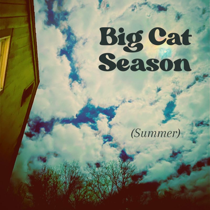 Big Cat Season : L’été permanent de Westford en musique avec « Summer »