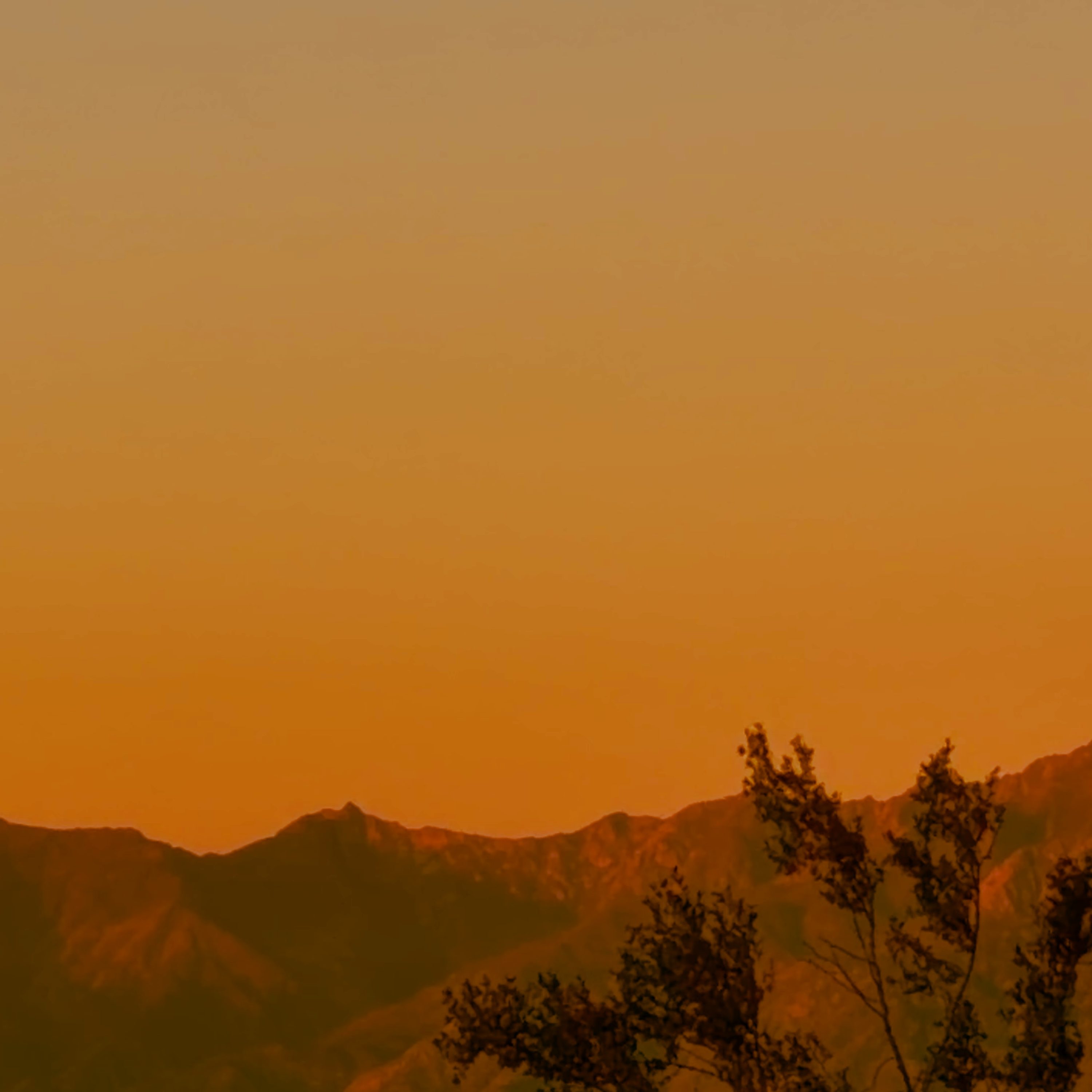 Freedom Anon : L’introspection cinématographique de « Mercurial »