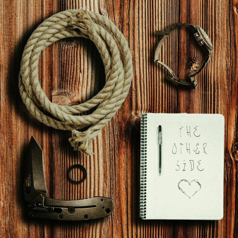 Renaissance Pop-Punk : Steven R. Hansen franchit « The Other Side »