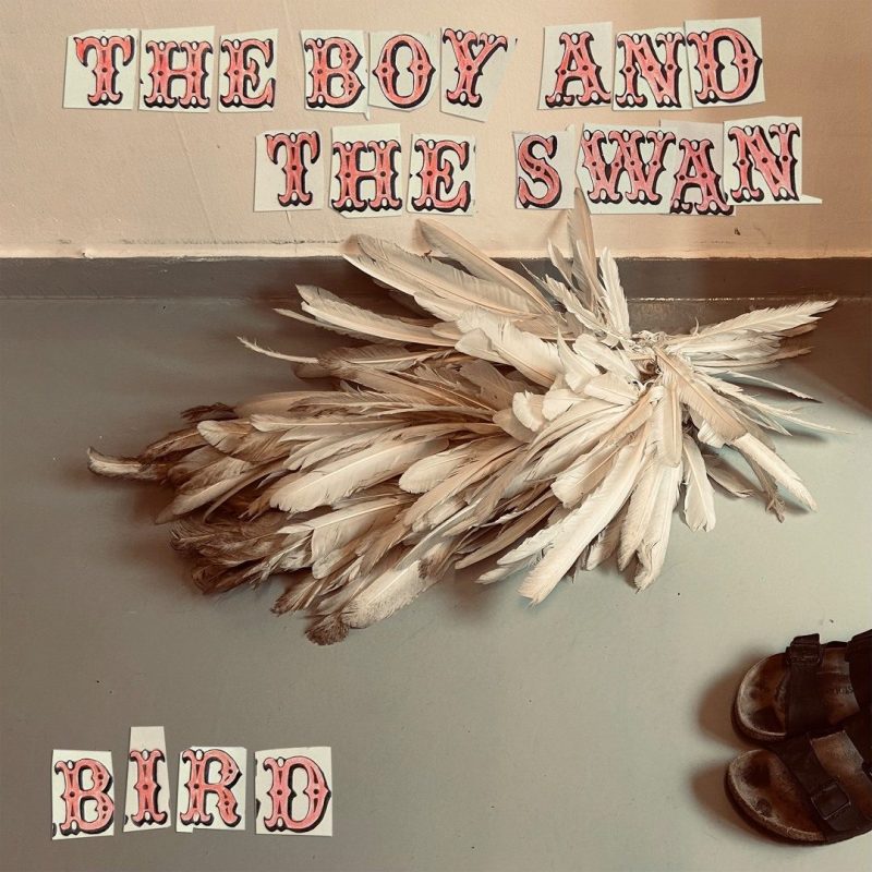 Quand Bird métamorphose la douleur avec « The Boy and The Swan »