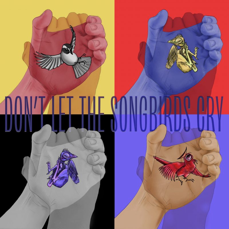 CS Hellmann : L’envol onirique de « Don’t Let The Songbirds Cry »