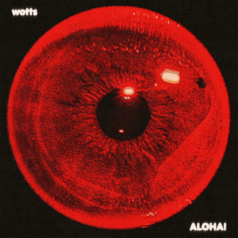 Wotts : Le renouveau en solitaire avec l&rsquo;éthéré « ALOHA! »