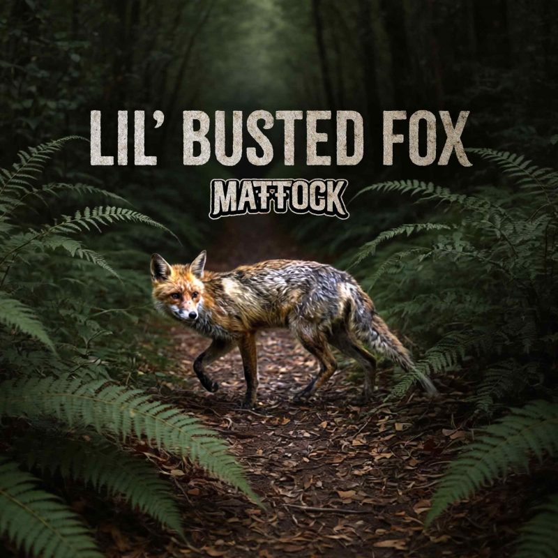 Mattock : Le souffle brut de « Lil’ Busted Fox »