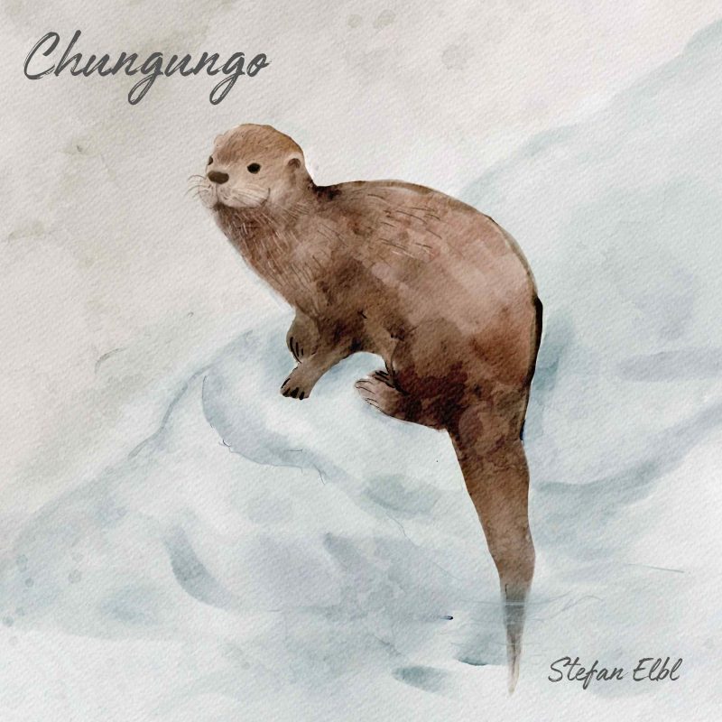 Chungungo : L’exil électrique signé Stefan Elbl
