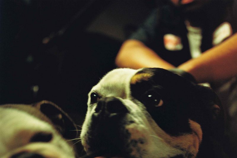 Kenny Mason – BULLDAWG : La fureur et la foi de l&rsquo;écorché vif d&rsquo;Atlanta