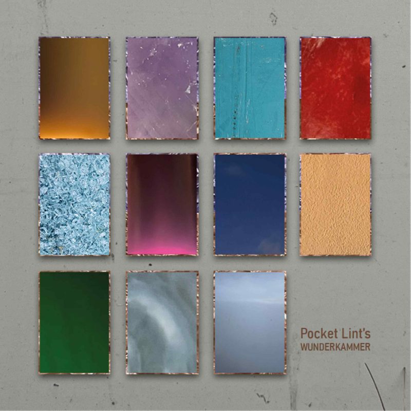 Pocket Lint : l&rsquo;art pop mystique et organique de « Wunderkammer »