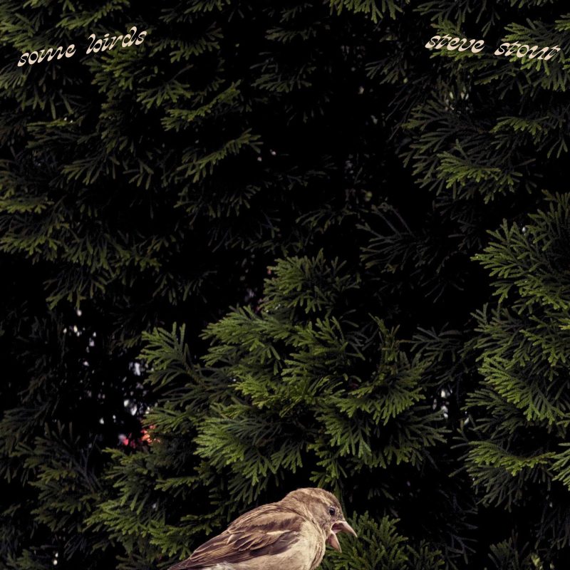 L’envol rétro-pop de Steve Stout avec « some birds »