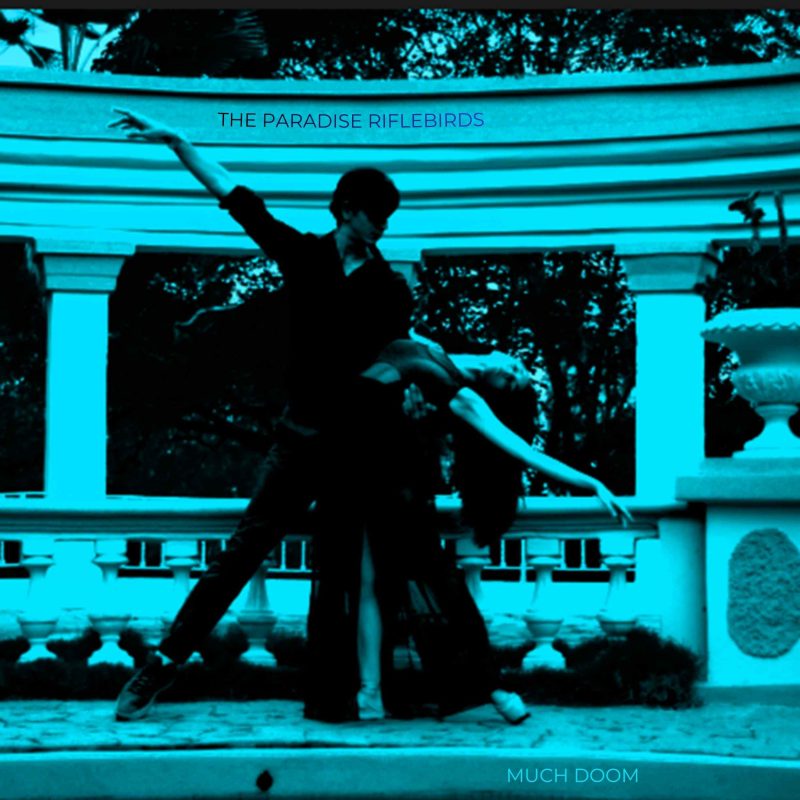 The Paradise Riflebirds et le mystère de Caracas avec la chanson « Much Doom »