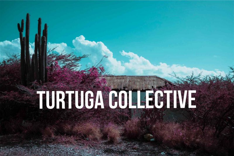 « Sintura » : L&rsquo;or organique de Turtuga Collective