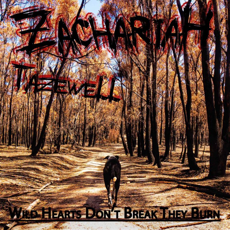 Zachariah Tazewell transforme les blessures du passé en flammes créatrices avec Wild Hearts Don&rsquo;t Break They Burn
