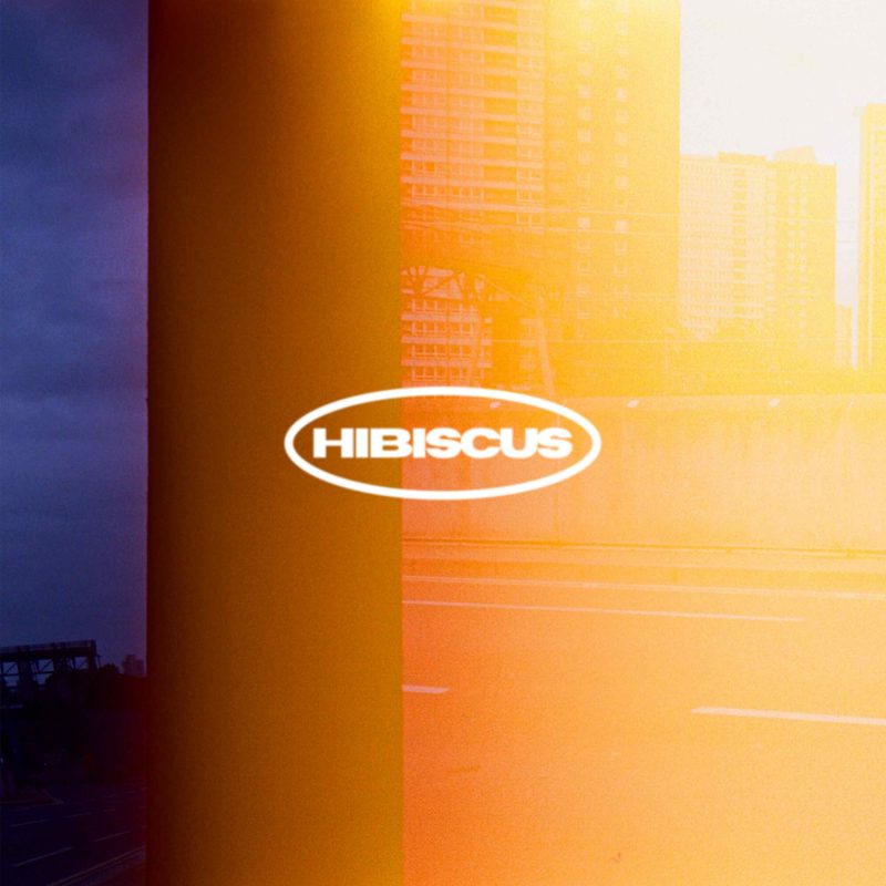 Quand le garage britannique bourgeonne : l’irrésistible fraîcheur de « Hibiscus » signé sooty