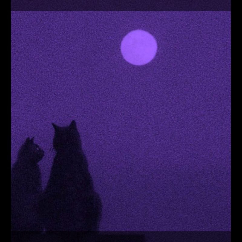 Quand la solitude devient mélodie : D.O.S.E sound dévoile « someone »