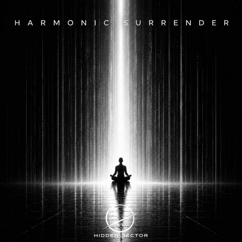 Hidden Sector : L’hypnotique tension de « Harmonic Surrender »