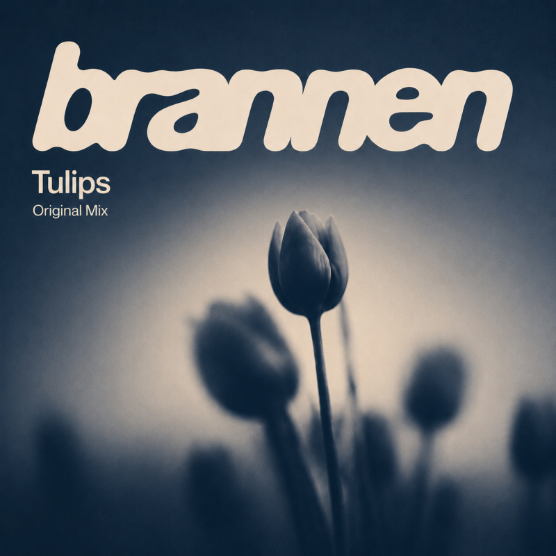 Brannen – Tulips : l&rsquo;éclosion mélodique d&rsquo;un artiste à suivre