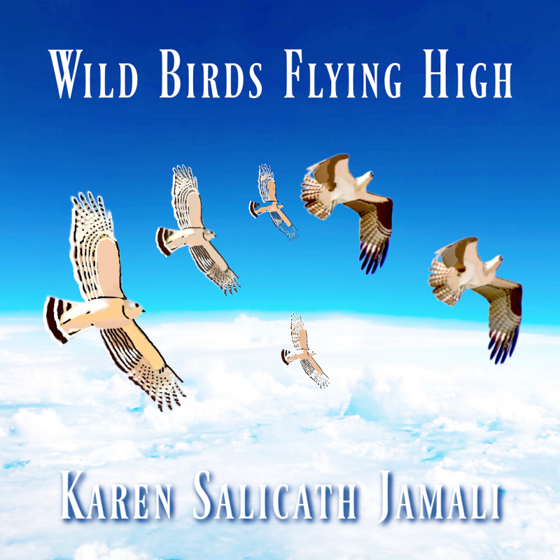L’envol salvateur de Karen Salicath Jamali avec le single « Wild Birds Flying High »