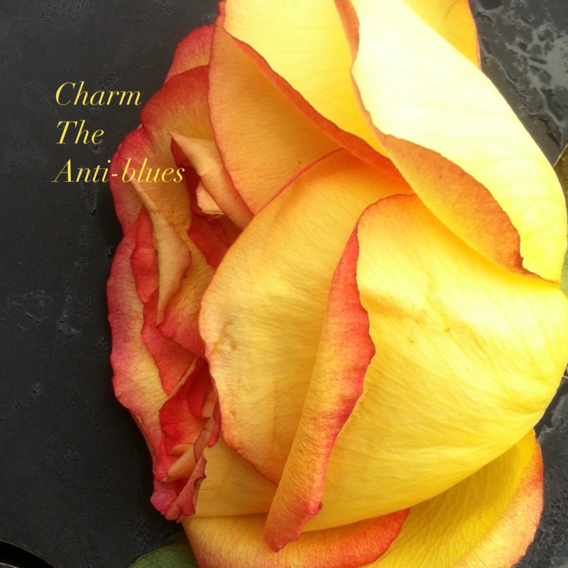 Charm – The Anti-Blues : quand la sincérité amoureuse redéfinit le genre