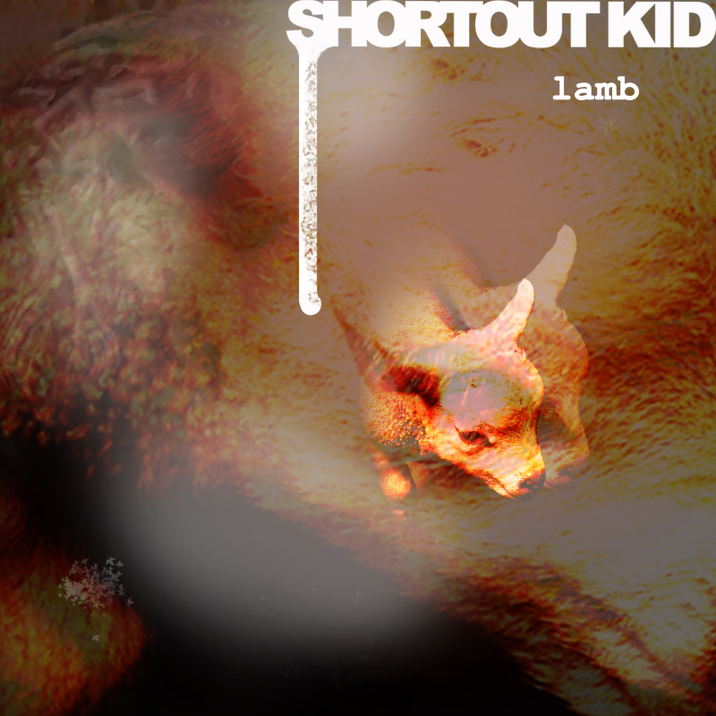 L’arme secrète de Shortout Kid : la fureur abrasive de « Lamb »