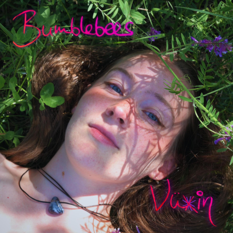 L&rsquo;échappée belle de Vüxin : « Bumblebees », l’hymne folk d’une douce révolte